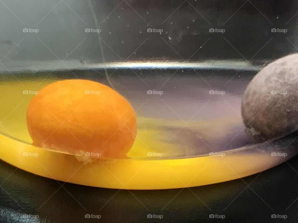 Dissolving jawbreakers