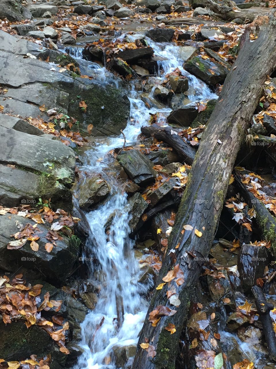 Waterfall runoff
