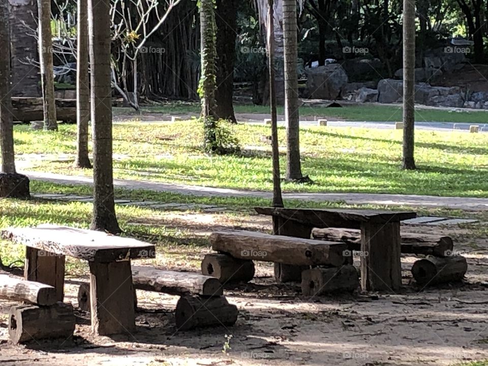 The signs of the nature ,Pukae Botanical Garden ( Thailand)