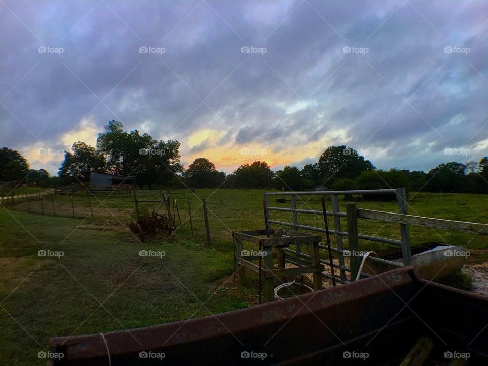 Sunrise on the farm.