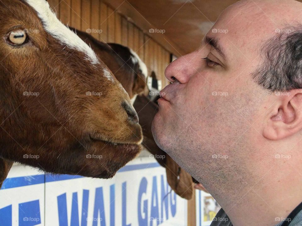 Goat kiss