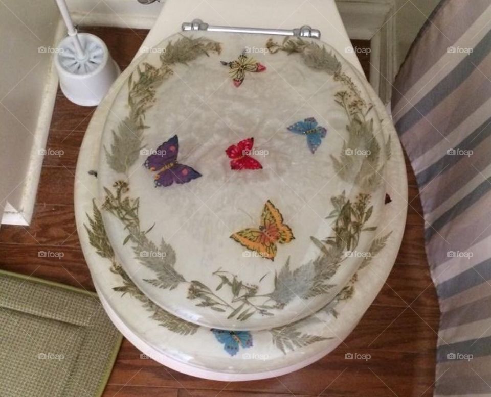 fancy toilet at ex's house