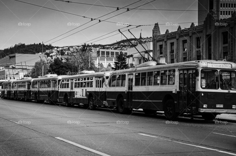 trolleybuses stationed online