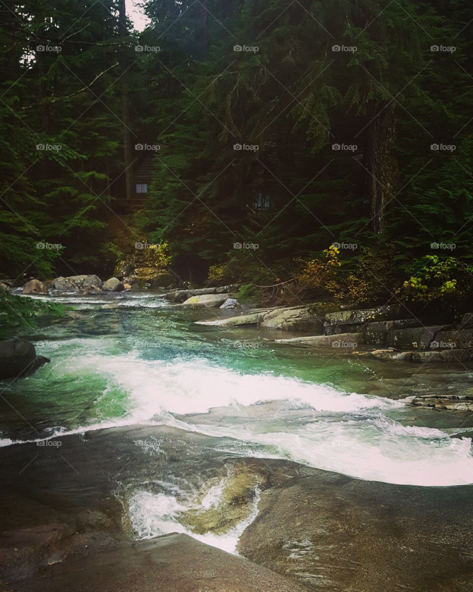 Franklin Falls Trail, WA