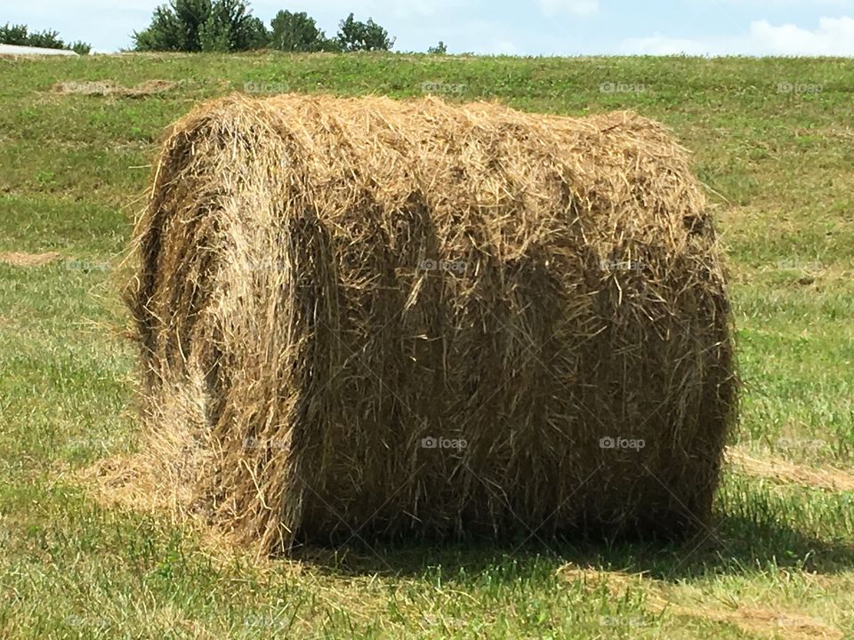 Hay Bale