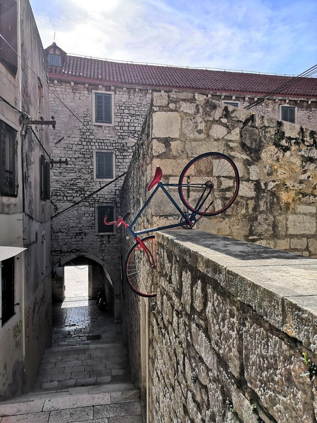🚲