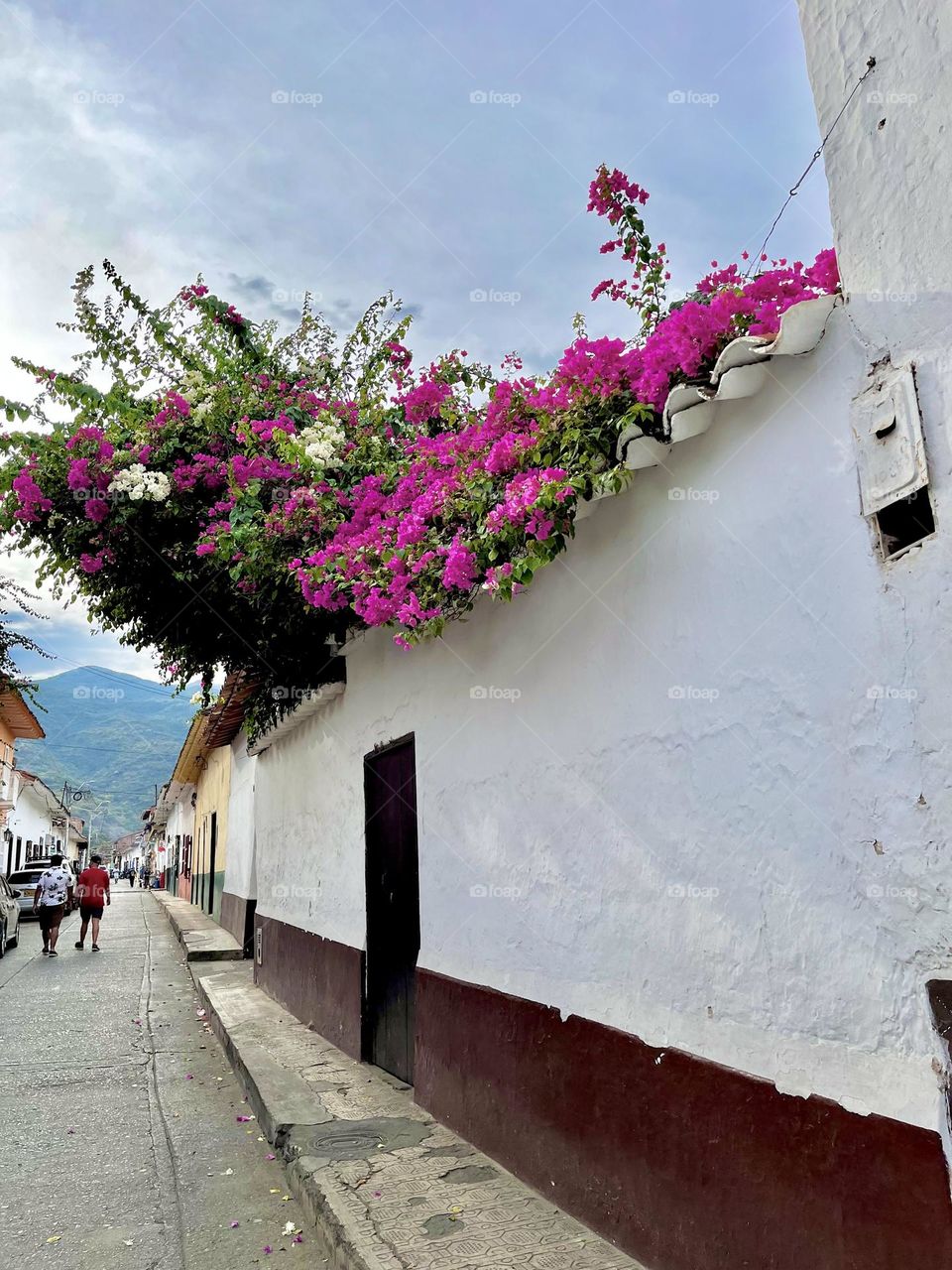 The spring in the little town