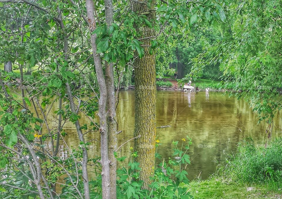 River Fun. Boys and Dogs Playing Across the River