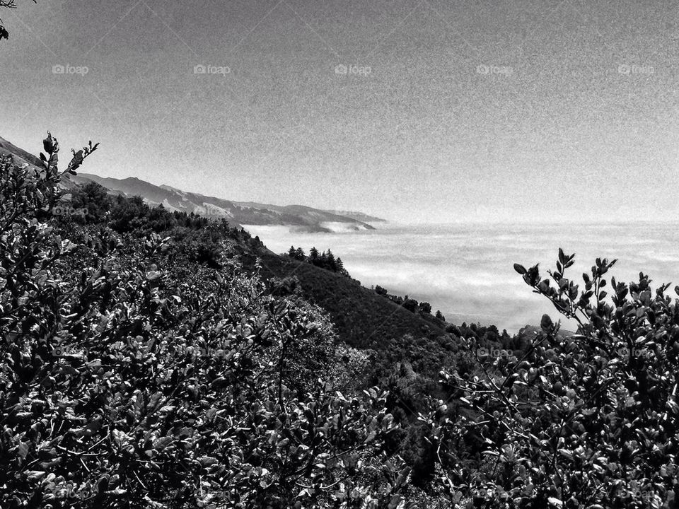 beach big sur united states by PeterNichols