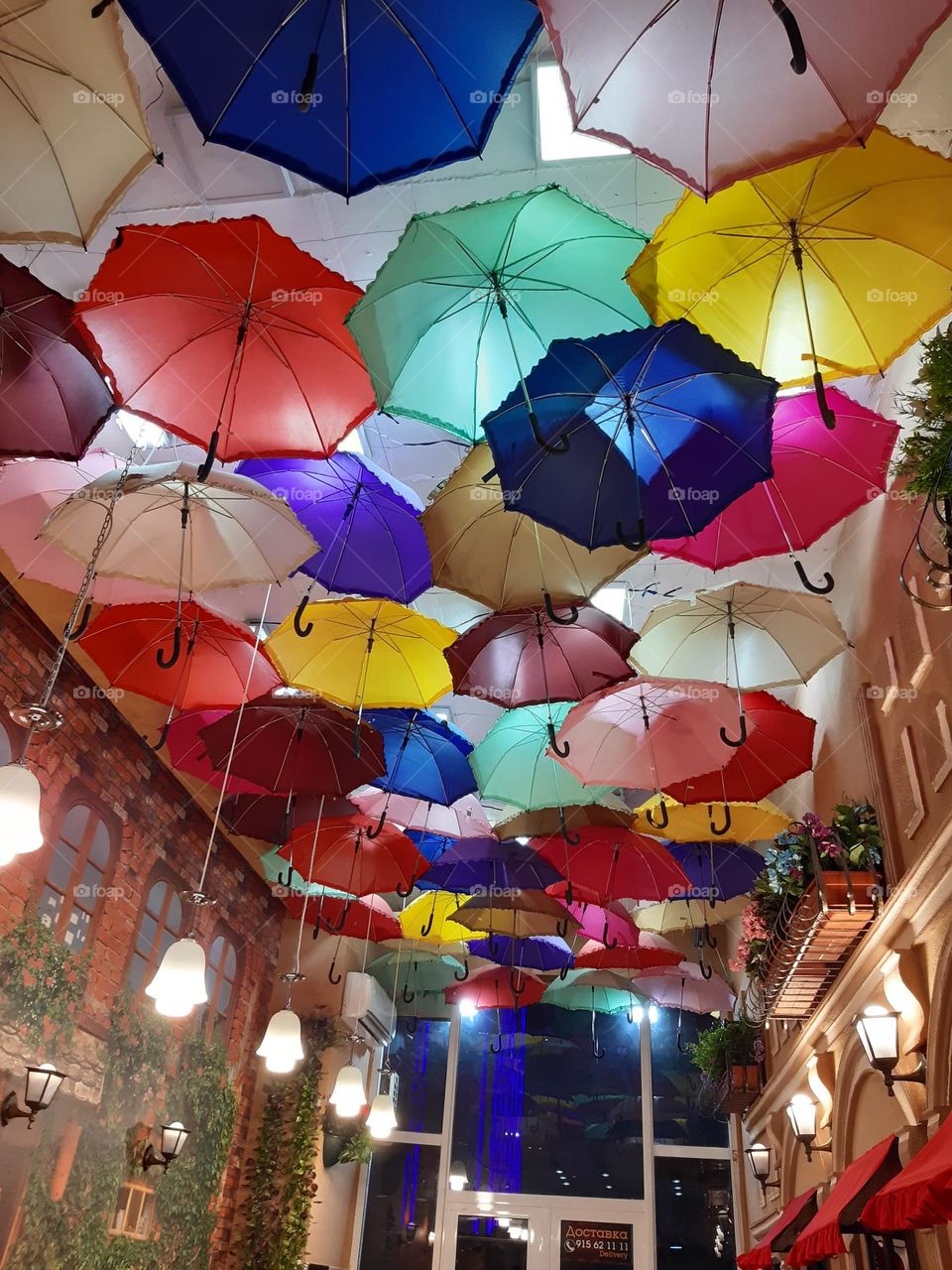 under my umbrella 🌂