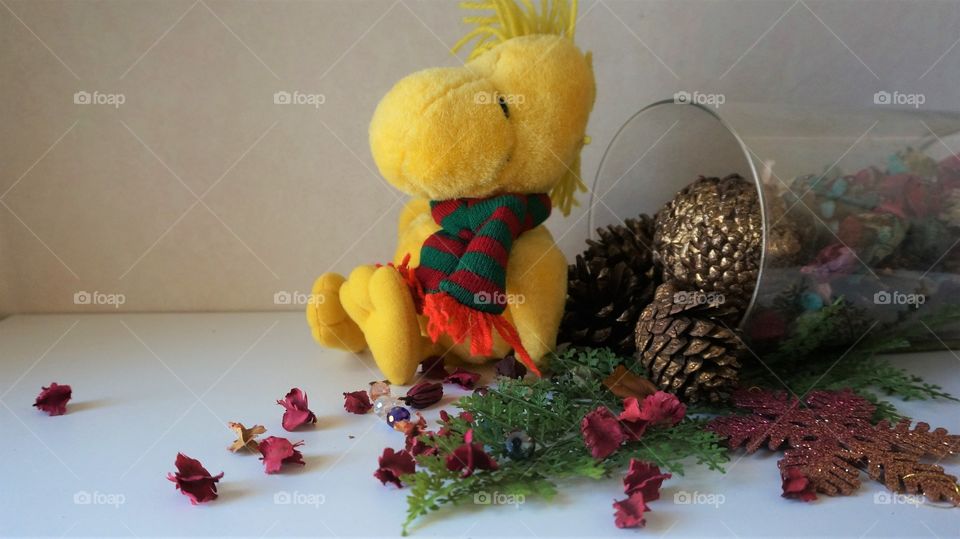 We wish U a Merry Christmas