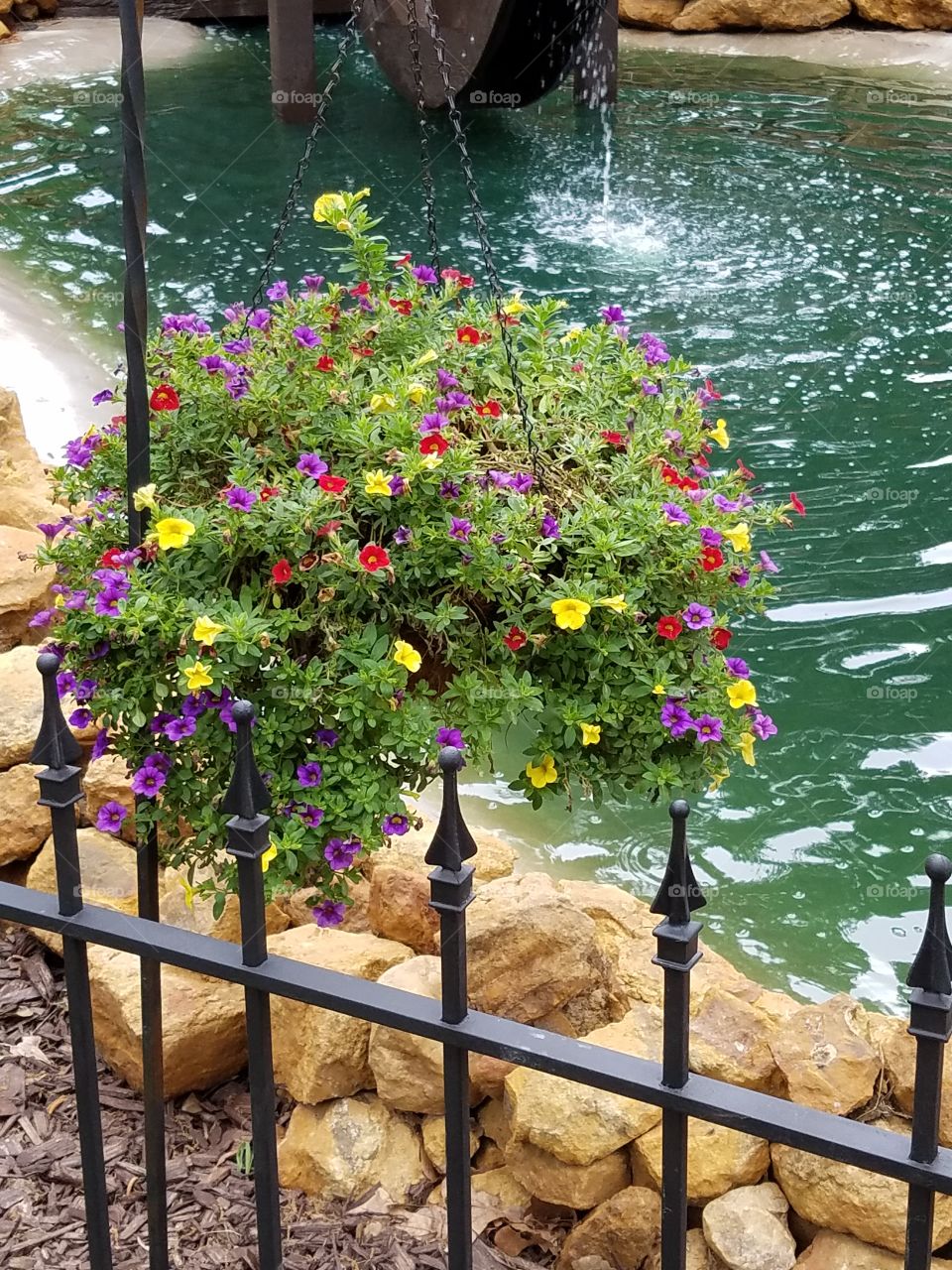 Sherwood Forest Faire pic set