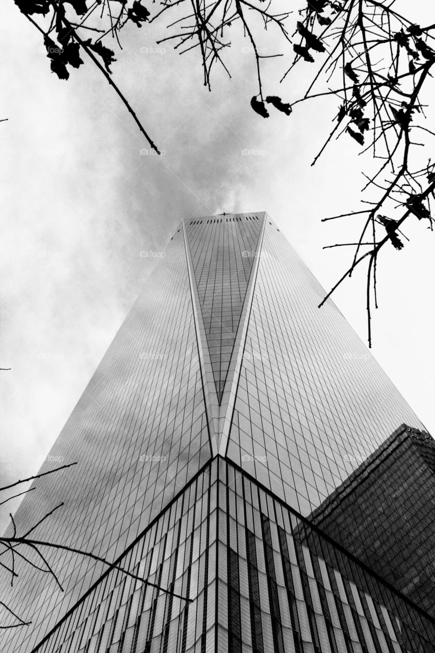 Concrete jungle - New York