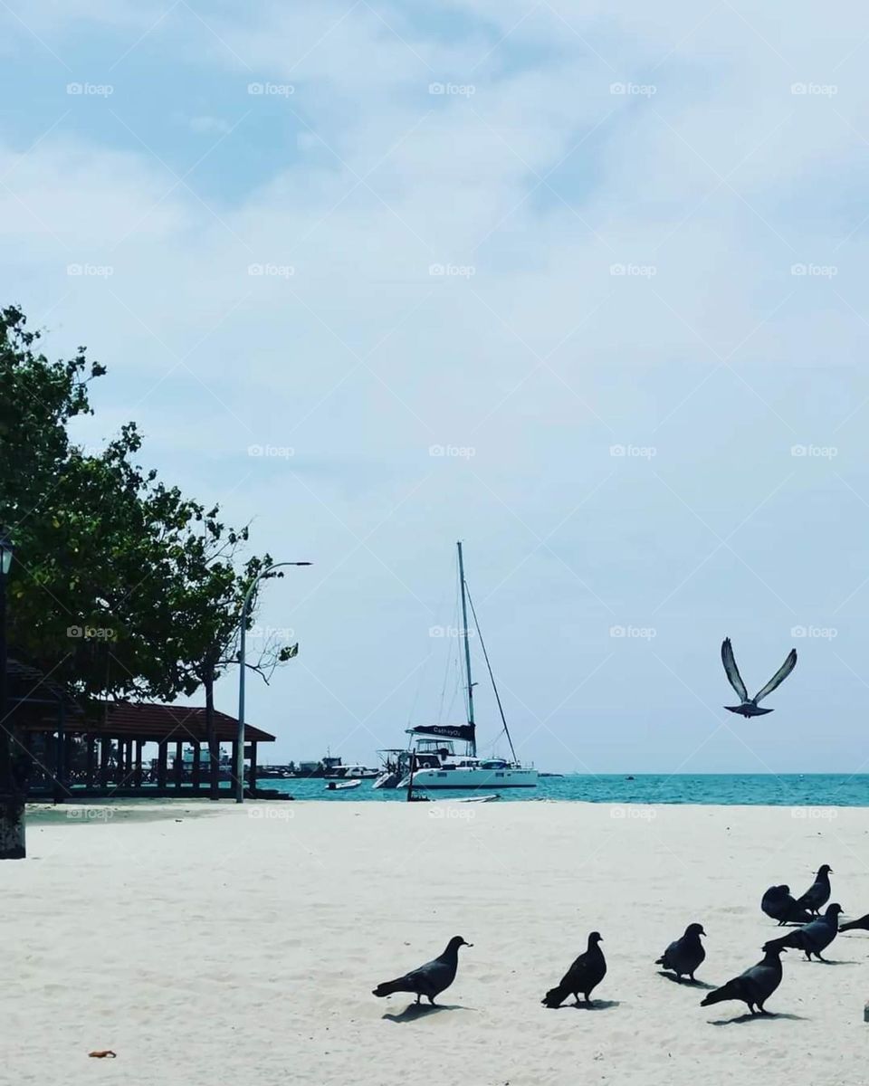 Thulusdhoo ge faalamaa dhimaalu beach