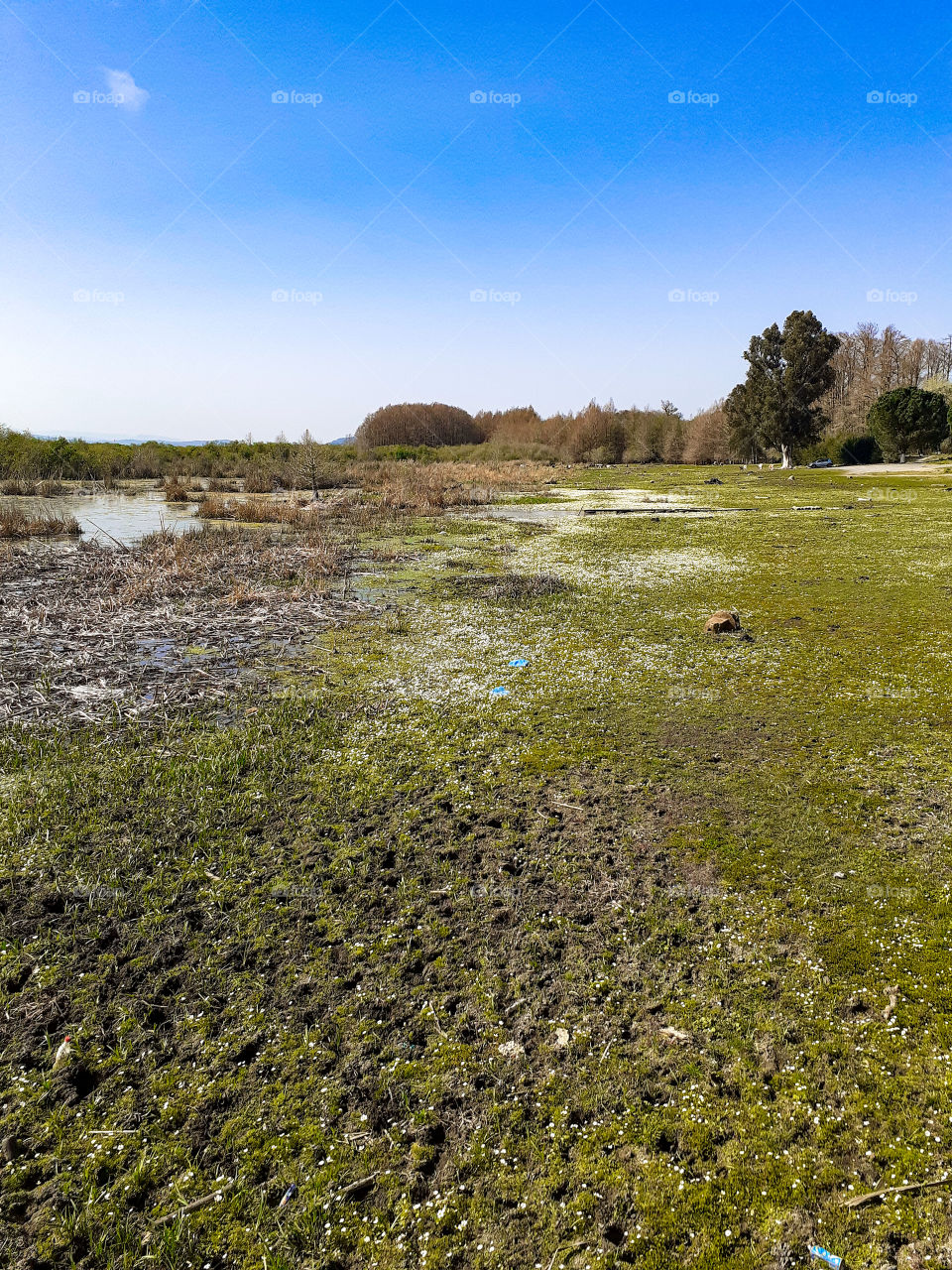 El Taref beach in Algeria