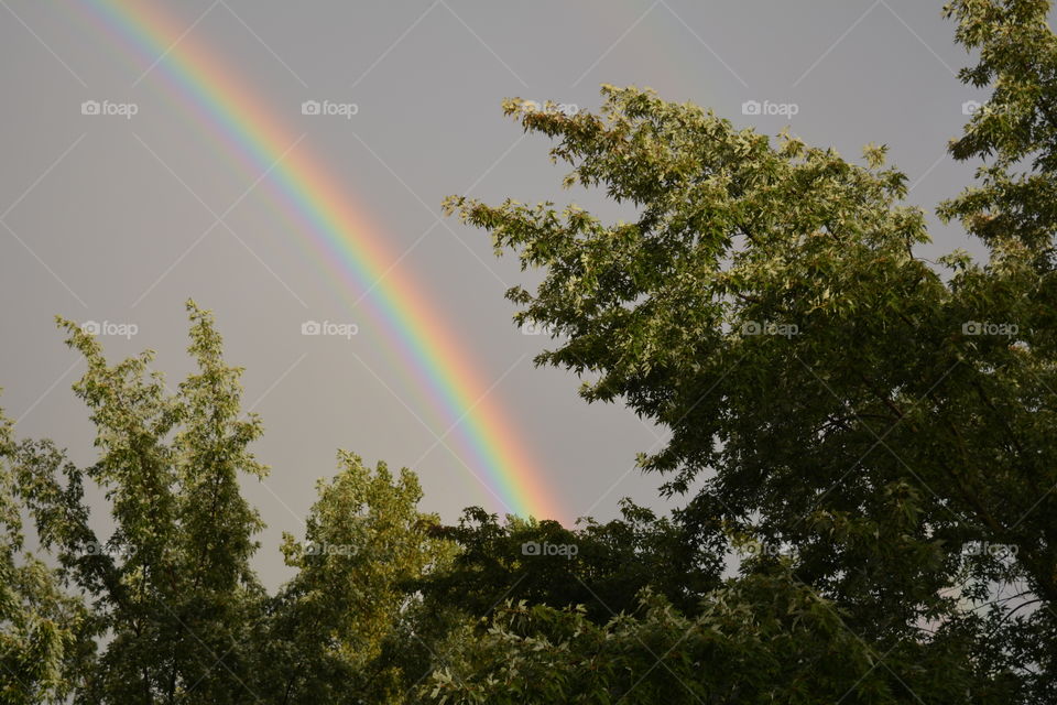 Rainbow, No Person, Landscape, Nature, Tree