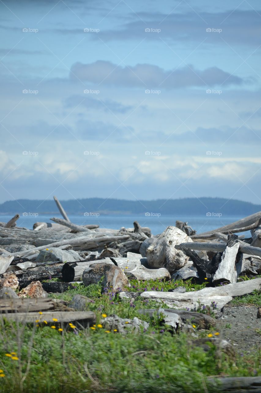 San Juan islands Washington 