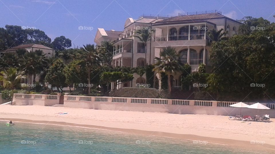 Resort, Palm, Tree, Hotel, Luxury