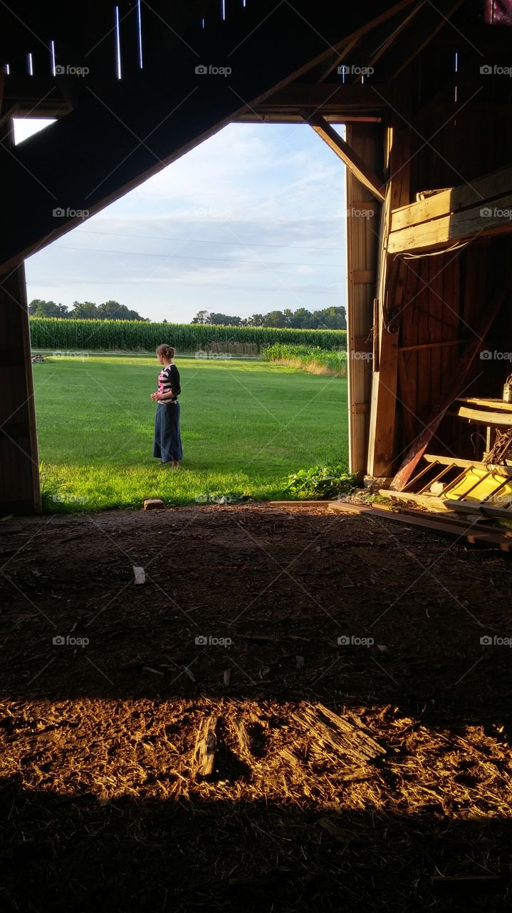 In the Barn