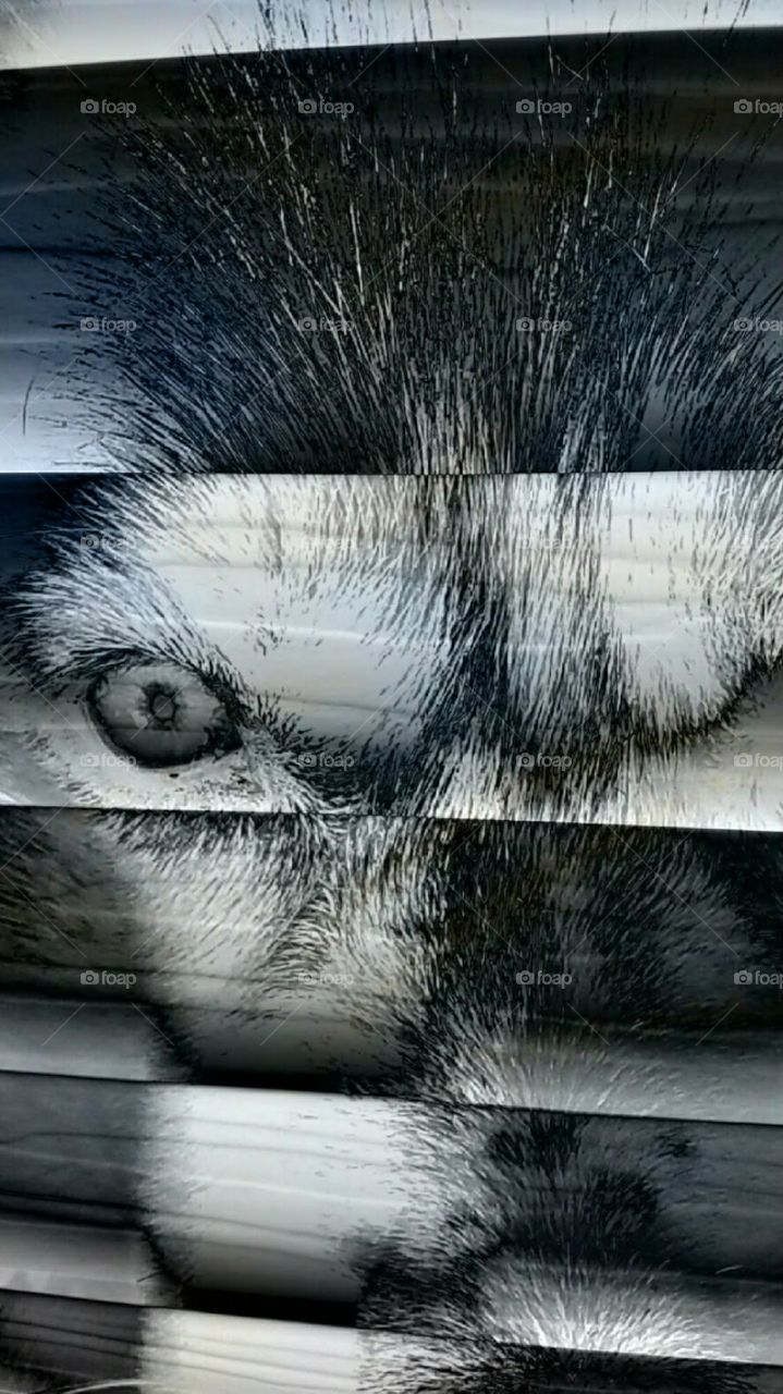 Pattern, Desktop, Abstract, Texture, Design