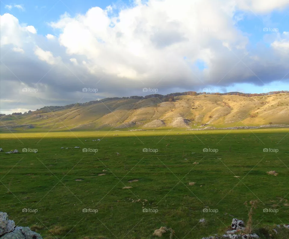 Landscape