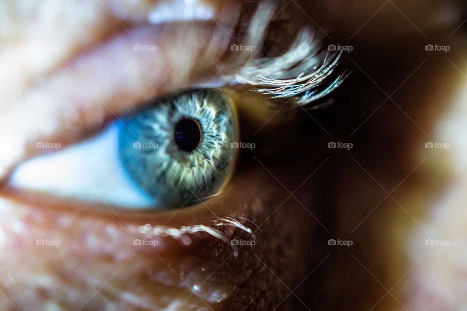 Human eye