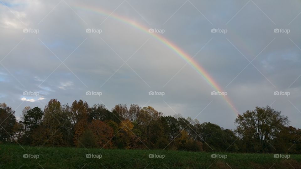 rainbow