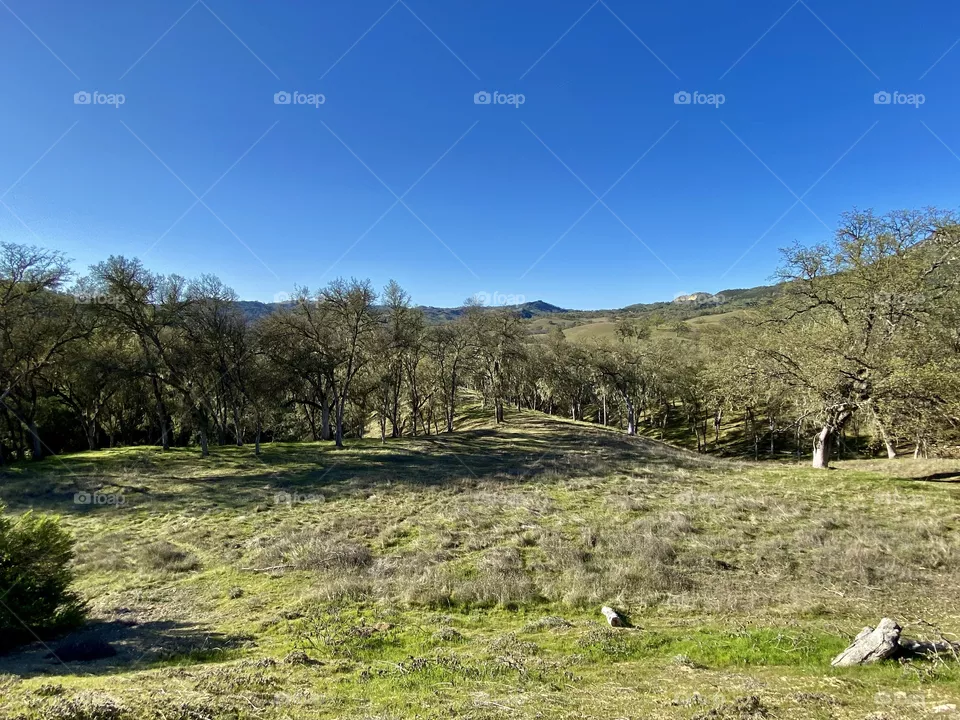 Countryside of Bradley California near Lake Nacimiento 
