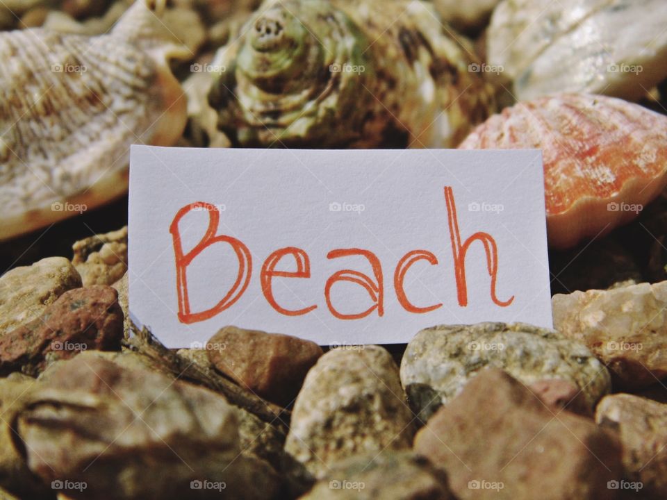 Beach text with seashells