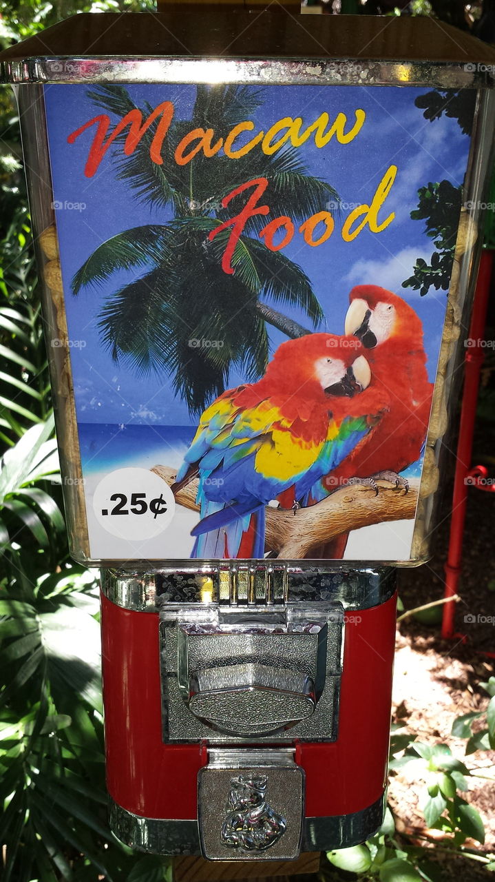 Macaw Food 25 cents