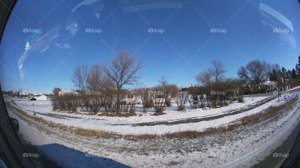 Winter, Snow, Weather, Landscape, Tree