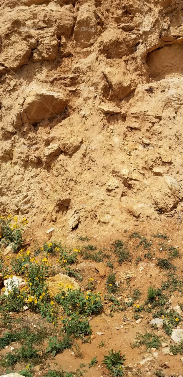 Fabulous landscaping