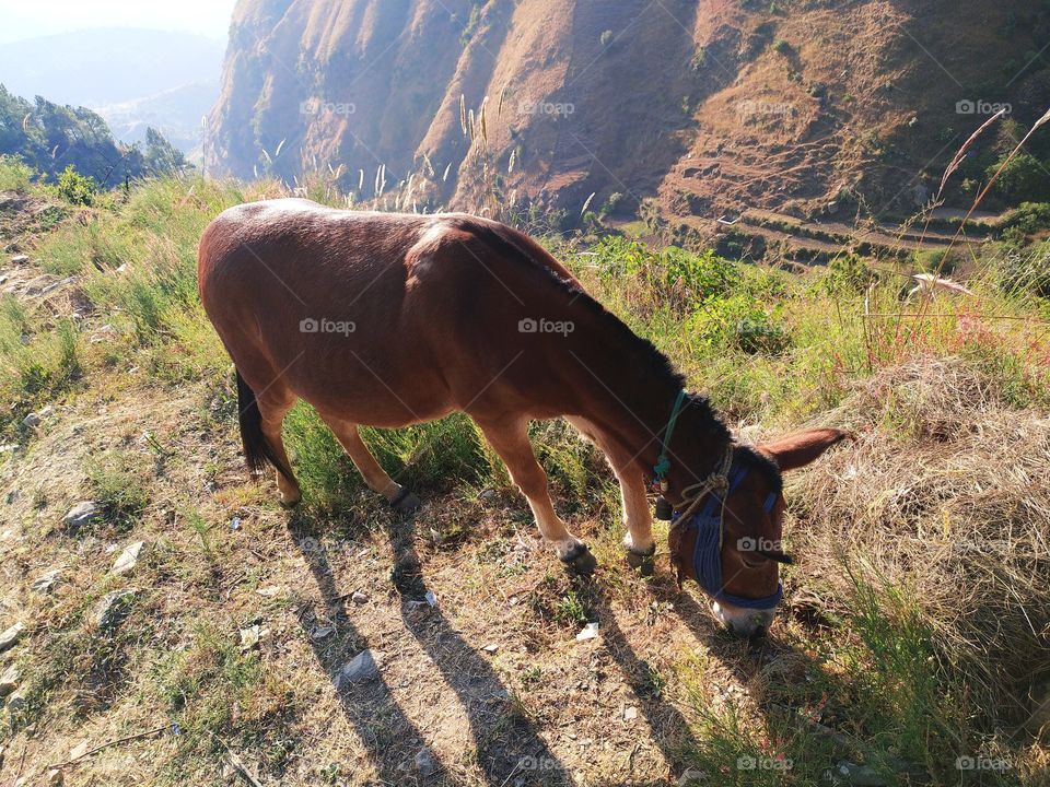 Wonderful view on the way to Uttarkashi