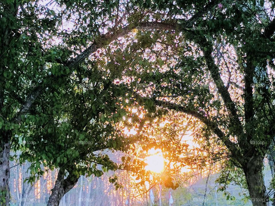 Sunset on Lees-McRae College Campus in Banner Elk, North Carolina, USA