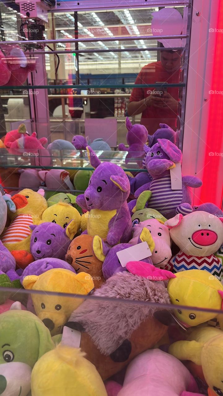 Peluches en la garra