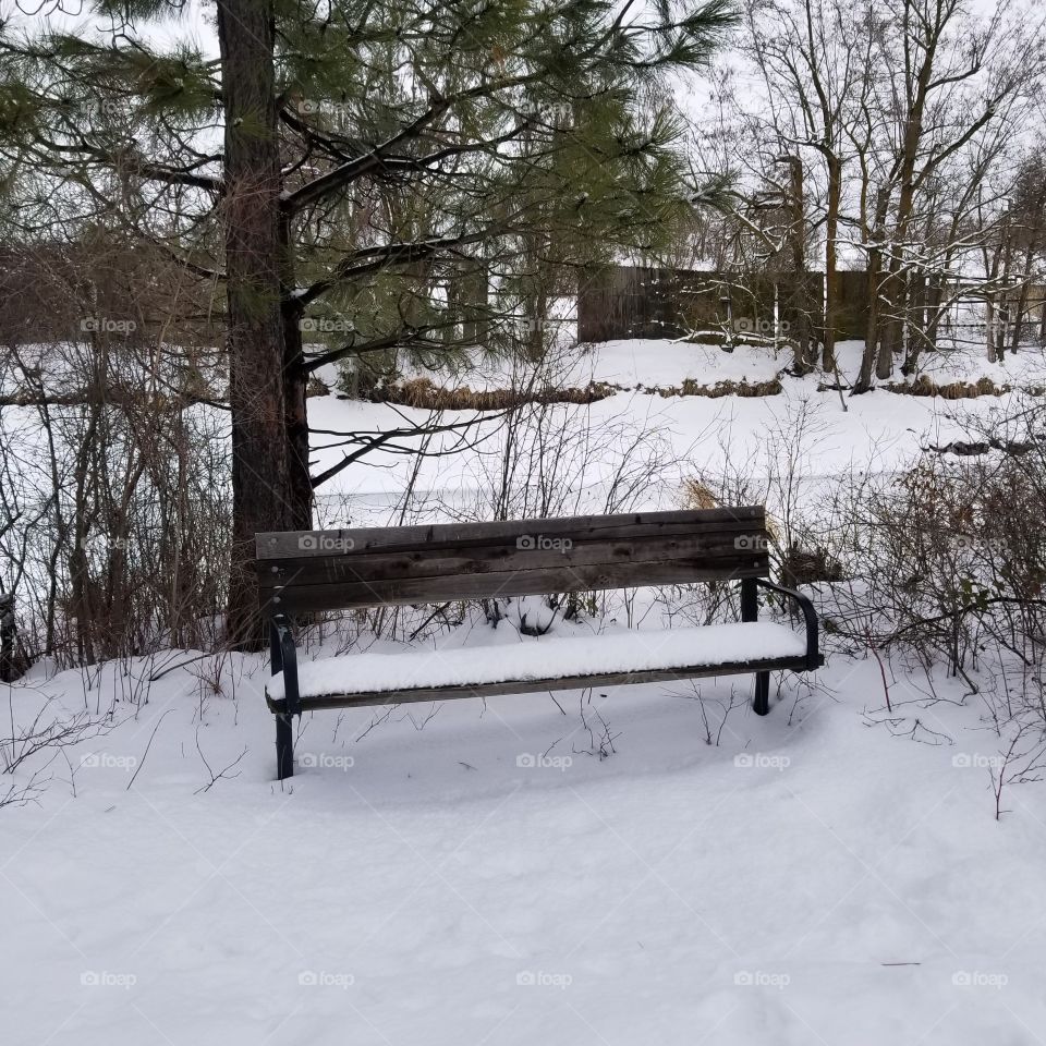 park bench in a park on a winter day