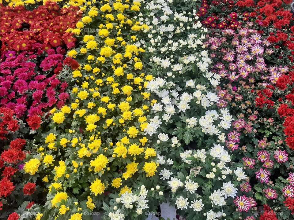 Please make me happy, I am poor, I need your help with support