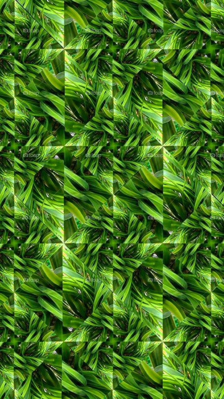 Fake grass plant. Facebook-Gifter Phoenix of Austin Texas, Instagram-@gifterphoenix,YouTube Phoenix Gifter