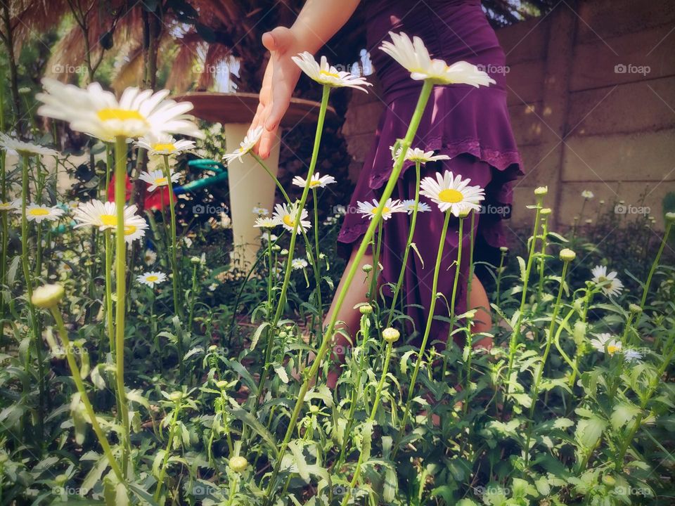 Walking in the garden