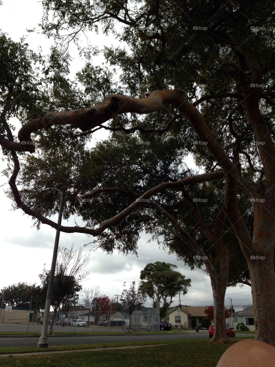 At the park

Published by:
HappyBrownMonkey