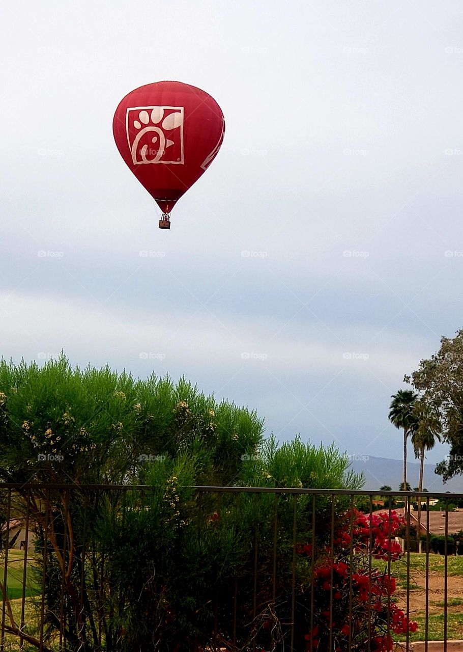 chick-fil-a ballon