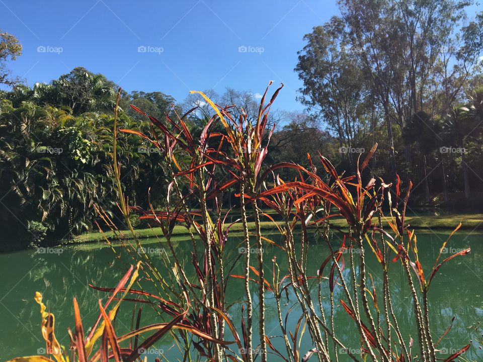 View of a beautiful lake