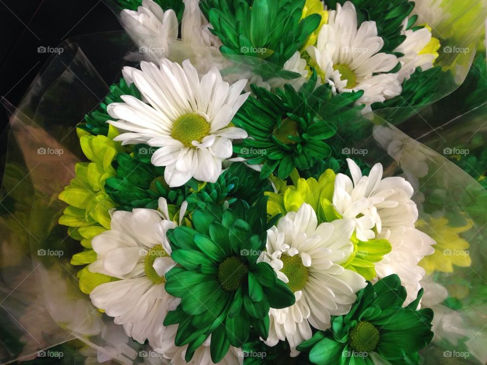 Green white Flower