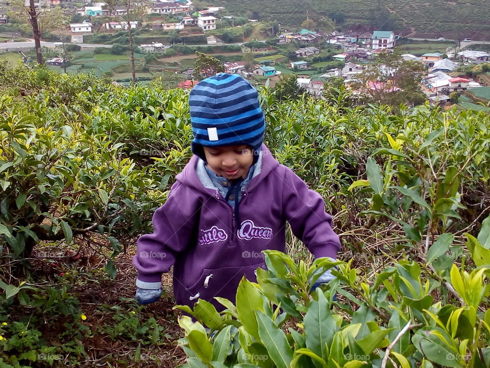 baby with tea plants