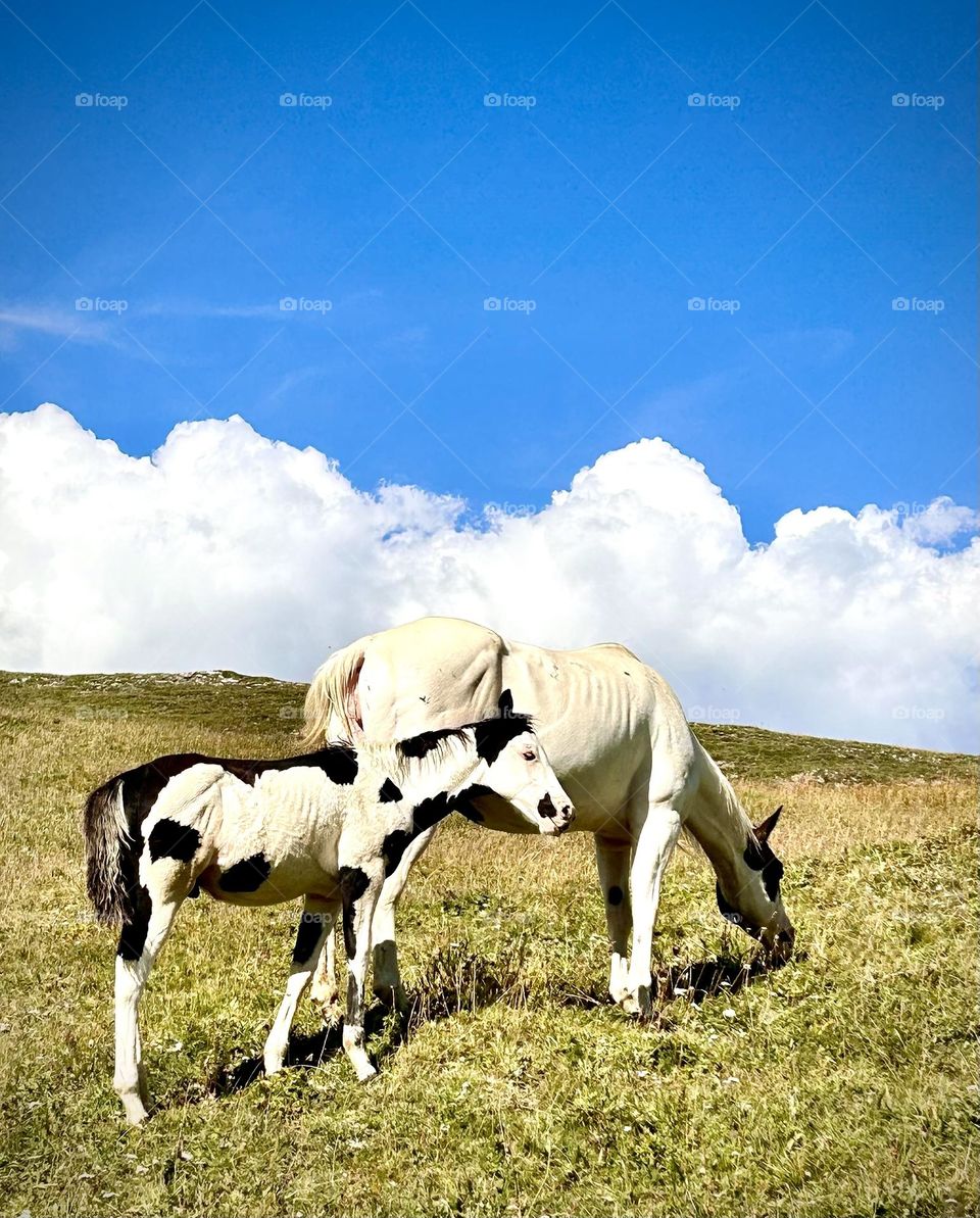 Val d’Isère , Août 2023 . 