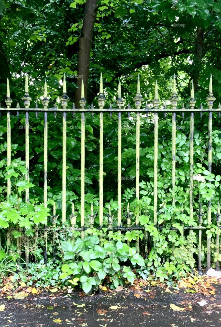 Fences at the park