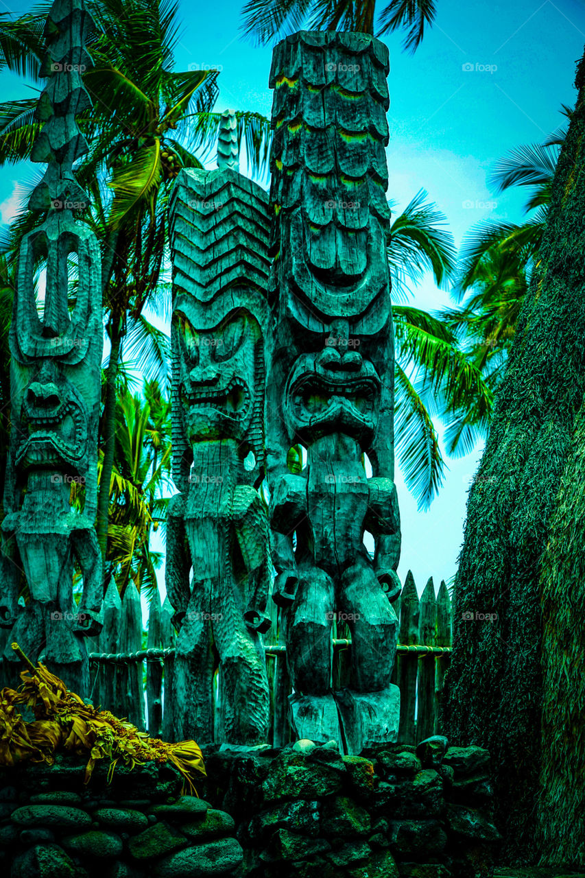 Koi in Pu’uhonua O Honaunai National Historic Park, Big Island Hawaii . Hawaiian statues with palm trees in background