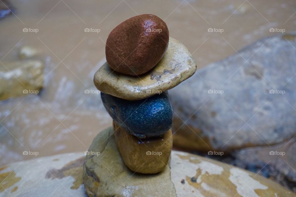 Zen, zion national park