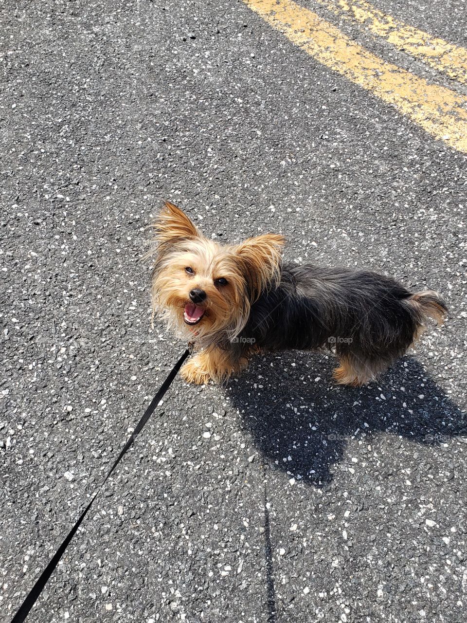 Beautiful day for a walk