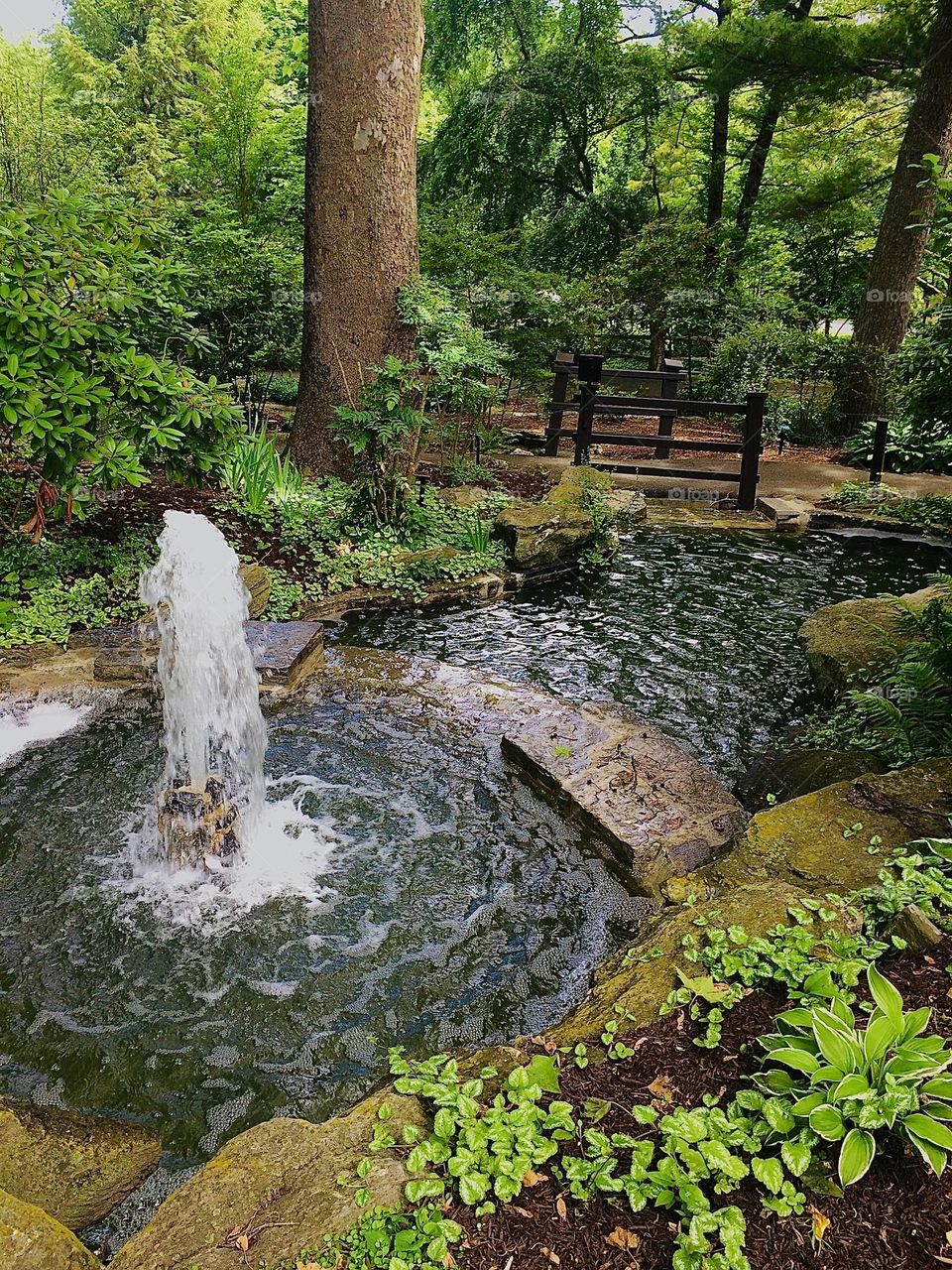 A gentle fountain sends water over a slight waterfall into a pool residing in a beautiful forest. 